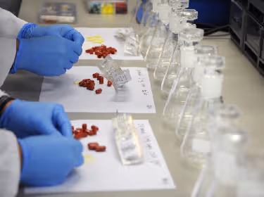 De foto toont medewerkers van een laboratorium die werken met medicijnen